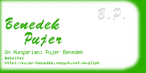 benedek pujer business card